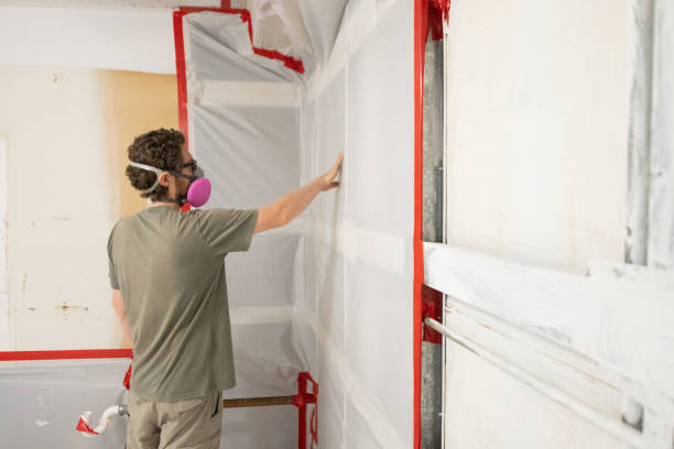 Best Crawl Space Mold Remediation  in Floresville, TX