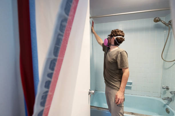 Trusted Floresville, TX Mold Removal Experts